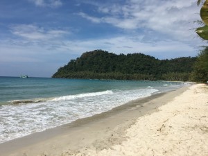 IMG_4299
